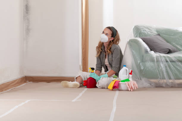 Reliable Mold Remediation contractor in Mackinaw City, MI by Cheap Mold Removal